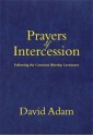 Prayers of Intercession (Christian Books) - David Adam