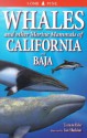 Whales and Other Marine Mammals of California and Baja - Tamara Eder, Ian Sheldon