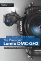 The Panasonic Lumix DMC-GH2: The Unofficial Quintessential Guide - Brian Matsumoto, Carol F. Roullard