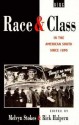 Race and Class in the American South since 1890 - Rick Halpern, Melvyn Stokes