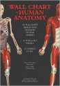 Wallchart of Human Anatomy: 3 D Full-Body Images, Detailed System Charts - Thomas MacCracken, Martin Griffiths