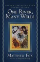 One River, Many Wells - Matthew Fox