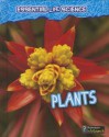 Plants - Melanie Waldron