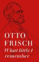 What Little I Remember - Otto Robert Frisch