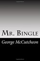 Mr. Bingle - George Barr McCutcheon