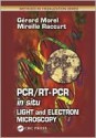 PCR/Rt- PCR in Situ: Light and Electron Microscopy - Gerard Morel, Mirieille Raccurt, Mireille Raccurt