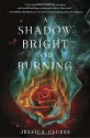 A Shadow Bright and Burning (Kingdom on Fire, Book One) - Jessica Cluess