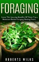 Foraging: Learn The Amazing Benefits Of These Top 9 Medicinal Herbal Foraging Healing Plants - Roberts Wilks