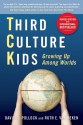 Third Culture Kids: The Experience of Growing Up Among Worlds - David C. Pollock, Ruth E. Van Reken