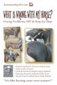 What Is Wrong with My Horse?: Fixing Problems DIY & Step-By-Step - Keith Hosman