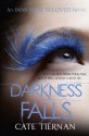 Darkness Falls (Immortal Beloved #2) - Cate Tiernan