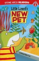 Little Lizard's New Pet (Stone Arch Readers) - Andrew Rowland