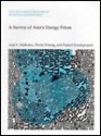 A Survey of Asia's Energy Prices - Anil K. Malhotra, Olivier Koenig