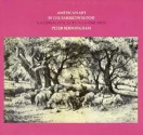 American Art in the Barbizon Mood - Smithsonian Institution National Collection of Fine Arts, Peter Bermingham, Peter Birmingham