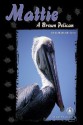 Mattie: A Brown Pelican - Bonnie Highsmith Taylor