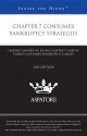 Chapter 7 Consumer Bankruptcy Strategies: Leading Lawyers on Filing Chapter 7 Cases in Today's Consumer Bankruptcy Climate - Marvin Wolf, Peter M. Lively, David D. Nielson