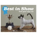 Best In Show: Knit Your Own Cat - Joanna Osborne, Sally Muir