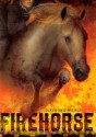 Firehorse - Diane Lee Wilson