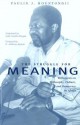 Struggle For Meaning: Reflections on Philosophy, Culture, and Democracy in Africa - Paulin J. Hountondji, John Conteh-Morgan