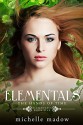 Elementals 5: The Hands of Time - Michelle Madow