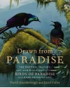 Drawn from Paradise: The Natural History, Art and Discovery of the Birds of Paradise with Rare Archival Art - David Attenborough, Errol Fuller