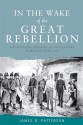 In the Wake of the Great Rebellion: Republicanism, Agrarianism and Banditry in Ireland after 1798 - James G. Patterson