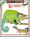 Lizards - Robert Matero