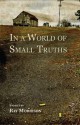 In a World of Small Truths - Ray Morrison