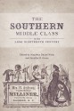 The Southern Middle Class in the Long Nineteenth Century - Jonathan Daniel Wells, Jennifer R. Green