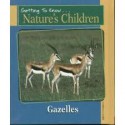 Gazelles - Sheila Dalton