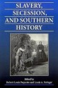 Slavery, Secession, and Southern History - Lou Ferleger, Robert L. Paquette