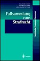 Fallsammlung Zum Strafrecht - Walter Gropp, Georg Küpper, Wolfgang Mitsch