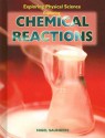 Exploring Chemical Reactions (Exploring Physical Science) - Nigel Saunders