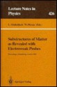 Substructures of Matter as Revealed with Electroweak Probes: Proceedings of the 32. Internationale Universitdtswochen F]r Kern- Und Teilchenphysik, Sc - L. Mathelitsch, W. Plessas