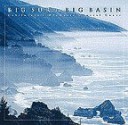 Big Sur to Big Basin: California's Dramatic Central Coast - Pamela Verduin Cain, Larry Ulrich