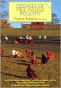 Diseases of Free-Range Poultry: Including Hens, Ducks, Geese, Turkeys, Pheasants, Guinea Fowl, Quail and Wild Waterfowl - Victoria Roberts