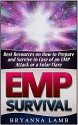 EMP Survival: Best Resources on How to Prepare and Survive in Case of an EMP Attack or a Solar Flare (EMP Survival Books, Survival, Survival guide) - Bryanna Lamb