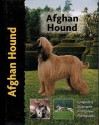 Afghan Hound - Bryony Harcourt-Brown