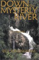 Down the Mysterly River - Bill Willingham