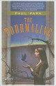 The Tourmaline - Paul Park