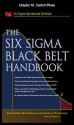 The Six SIGMA Black Belt Handbook, Chapter 16 - Control Phase - Thomas McCarty, Kathleen Mills, Michael Bremer, John Heisey, Praveen Gupta, Lorraine Daniels