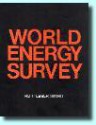 World Energy Survey - Ruth Leger Sivard, Mason Willrich