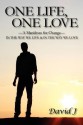 One Life, One Love: A Manifesto for Change, in the Way We Live & in the Way We Love - David J.