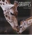 Giraffes - Nicole Helget