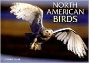 North American Birds - Patrick Hook