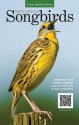 North American Songbirds: Identify the most common songbirds and hear their calls on your smartphone - Noble S. Proctor