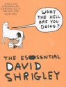 What the Hell Are You Doing?: The Essential David Shrigley - David Shrigley