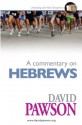 A Commentary on Hebrews - David Pawson