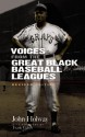 Voices from the Great Black Baseball Leagues: Revised Edition - John Holway, Frank Ceresi