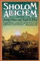 The Best of Sholem Aleichem - Sholem Aleichem, Irving Howe, Ruth R. Wisse